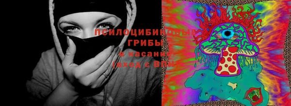 соль курить ск Нязепетровск