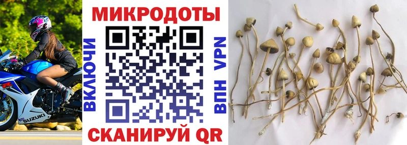 Псилоцибиновые грибы мицелий Динская